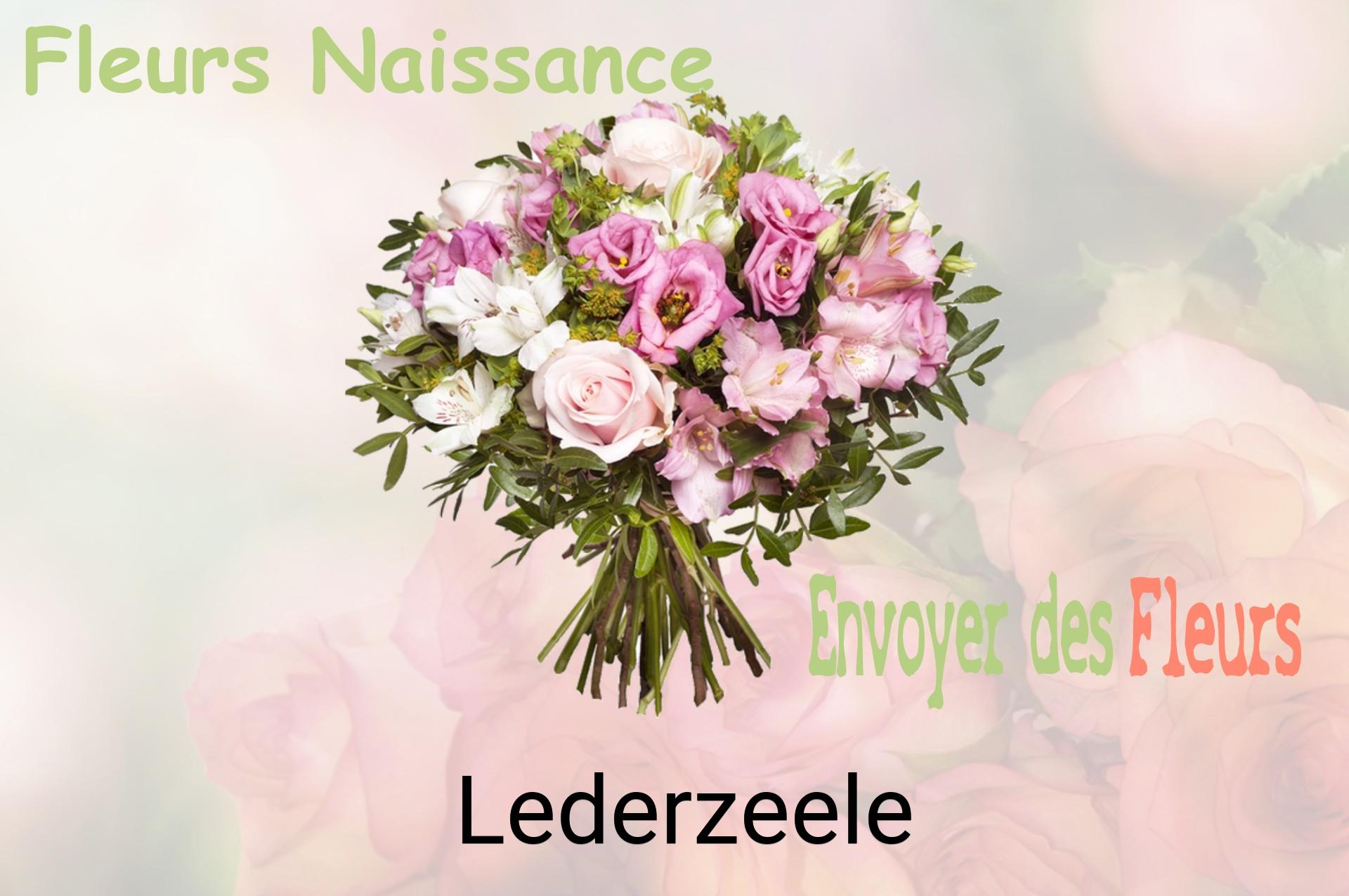 Bouquet de fleurs de naissance livré à Lederzeele